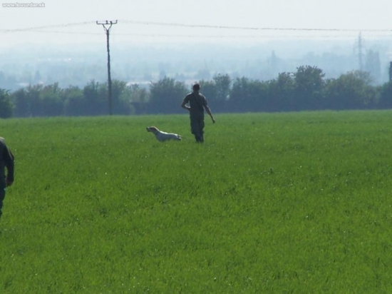 Neskorší víťaz FT - Gigi