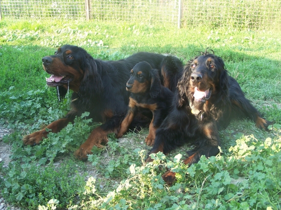 Rodičia s dcerou :-D