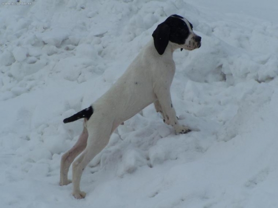 Atos Richard Slovakia