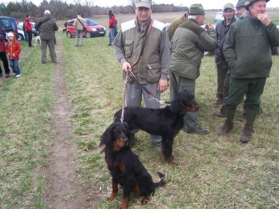 Barbie a Cita Z Jastrabieho lesa