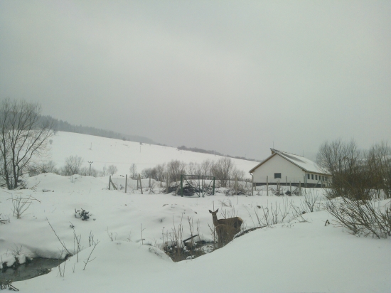 Dedinčanky