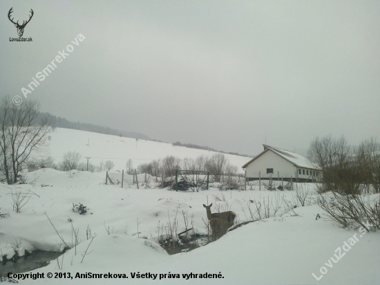 Dedinčanky