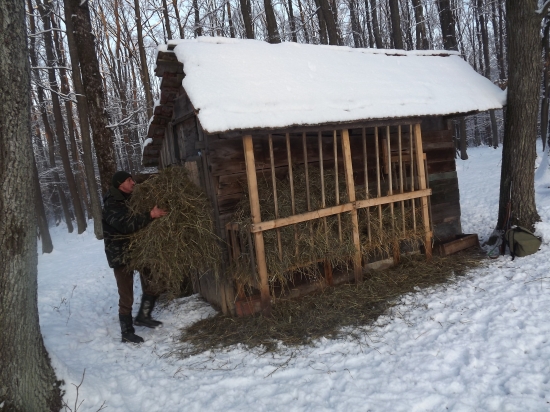 Musím im dať keď im chutííí