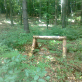 Solisko
