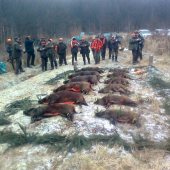 Spoločná poľovačka PZ Diana Banská Štiavnica- výrad  Vyhne