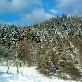 Zimná idylka v Štiavnickom pohorí