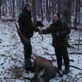 Peťov jeleň II.v.t.