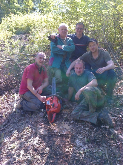 Brigáda na ozdravenie  lesa