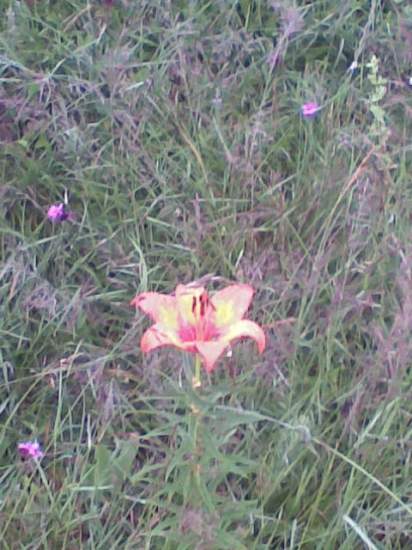 Prechádzka po Kerlingu