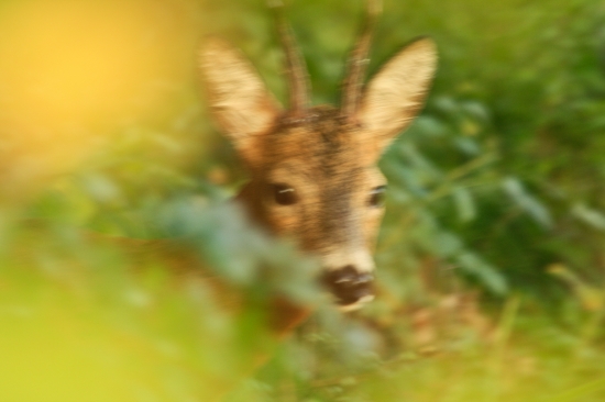 Keď šťastena praje ale technika nestíha...