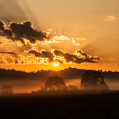 Kvôli tomuto sa oplatí si privstať