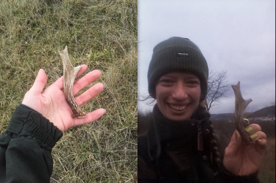 Moje dnešné potešenie :)