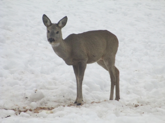 o.k. môžte ma odfotiť
