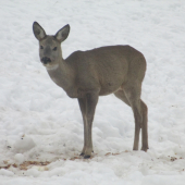 o.k. môžte ma odfotiť