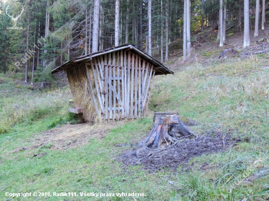 Senník a solisko