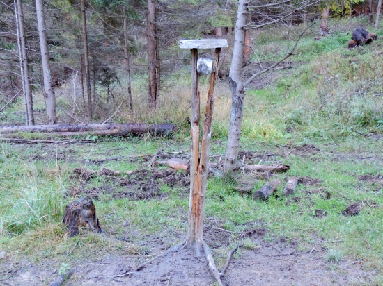 Zaujímavý soľník