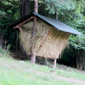 2. Naplnený..