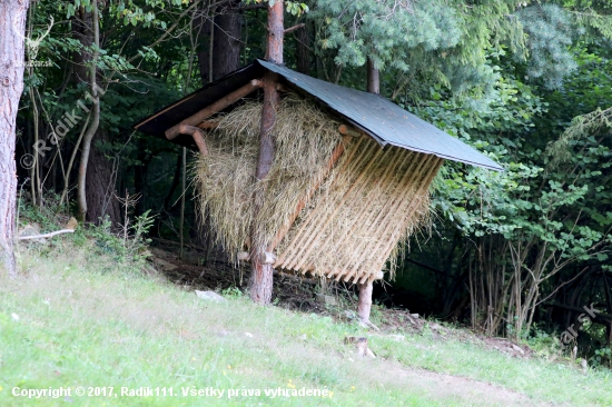 2. Naplnený..