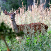 Dnešné stretnutie..
