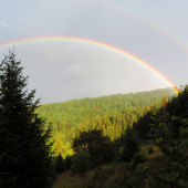 Dúha..