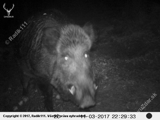 Foto na občiansky :-)