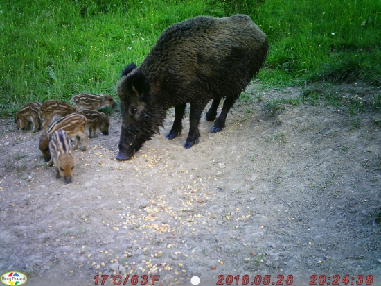 Nové prírastky