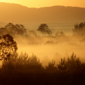 Iba tak, cvak, kým nič neprichádza..