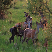 Každá iným smerom