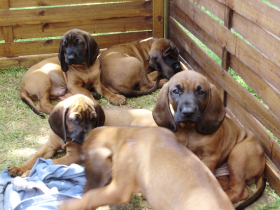 Letná pohodička...