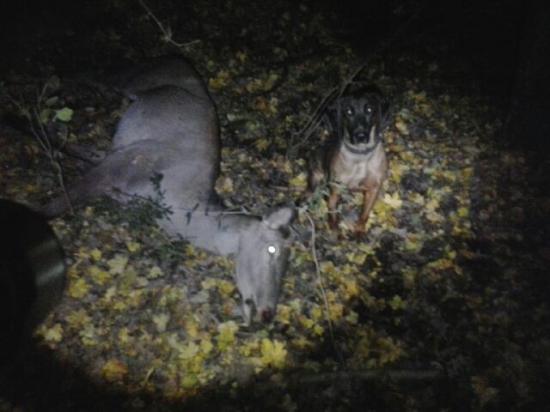 Ďalšia Emina úspešná