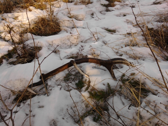 prvy toho roku 2.10kg