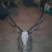 14-torak uz na podložke