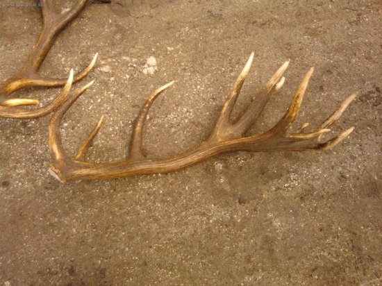 24-torak 6.10kg 240CIC