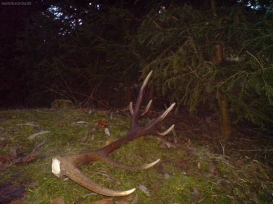 14-torak 3.45kg co poviete???