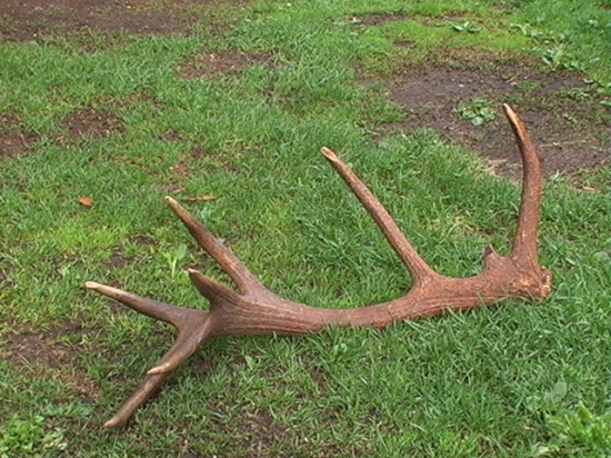 Čierny Balog Vydrovo - skanzen chýba pár