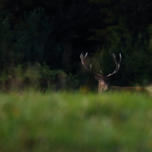 To podstatné ukázal