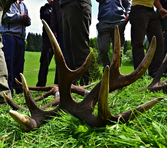 Bolo čo obdivovať,..