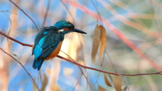 Pripravený vyštartovať.