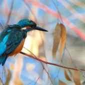 Pripravený vyštartovať.