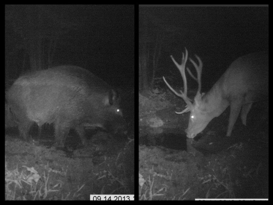 Posuďte sami :) Dobry ???