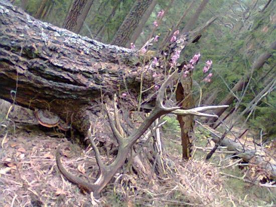 Môj prvý v živote :)