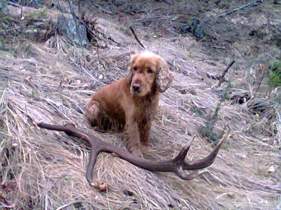 Môj druhý v živote :) (tohtoročný)