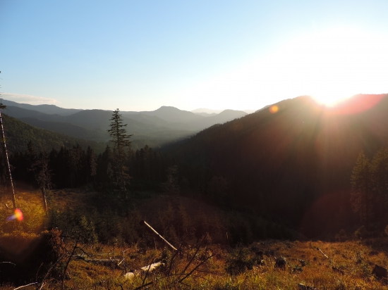 Hymna lesov ! v popise :)