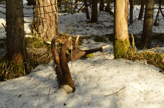 Adrenalín sa vyplavuje :D :)