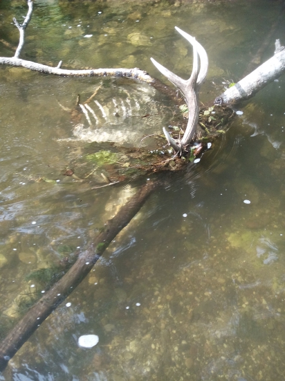 Šťastie v nešťastí ...