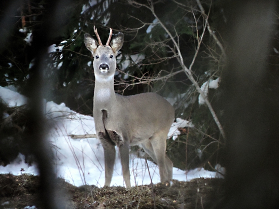 Moment objavenia ...