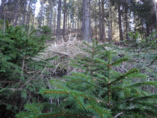 Zahalený rúškom času ...14-torák.