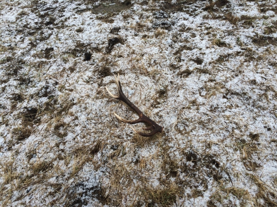 Môj prvý tento rok (86cm,1,9kg)