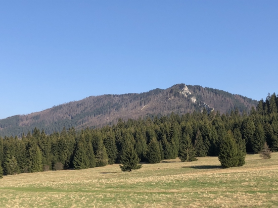 Naše lesy Prosecne a Prosiecka dolina