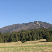 Naše lesy Prosecne a Prosiecka dolina